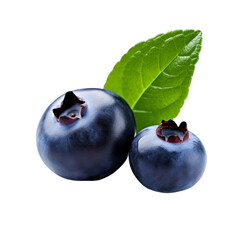 Obraz premium blueberries isolated on white background. With clipping path.
