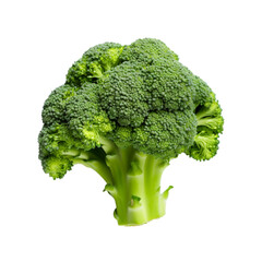 broccoli isolated on white background. With clipping path.