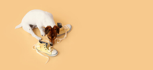 Funny naughty dog playing with shoes on yellow background with space for text