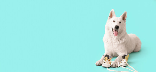 Funny naughty dog playing with shoes on blue background with space for text