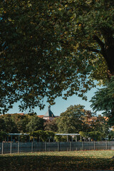 Obraz premium View Through The Trees On An Old European City Bietigheim-Bissingen In Germany. Trees in the City Park of Bietigheim-Bissingen, Baden-Wuerttemberg, Germany, Europe. Autumn Park and house, Trees, bush