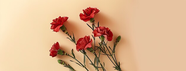 Carnation flowers against a clean, light peach background, offering ample copy space for text, in a top-down view, with soft tones that exude sophistication.