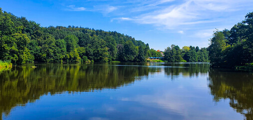 Fototapeta premium reflection of trees in lake