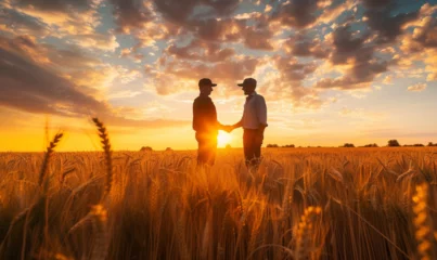 Fotobehang Two happy farmers shake hands wheat field under a clear blue sky. Two people in nature, wearing hats, are shaking hands wheat field under blue sky. natural landscape of the grassland makes them happy © Валерий Зотьев