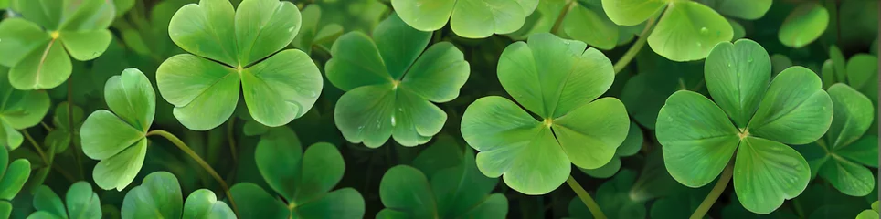 Foto op Canvas Illustration of 4 leaf clovers horizontal banner st patrick's day lucky clover © BARETH