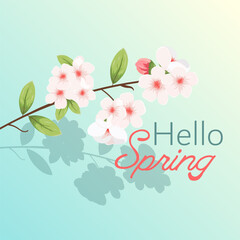 Hello spring  greeting banner, web, card, wallpaper, layout, template. 
 cherry branch Sakura flower blossom in  orchard oriental ornament.