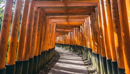 Gordijnen torii gate tunnel in kyoto japan © Richard