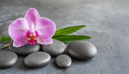 Naklejka na ściany i meble spa stones and pink orchid flowers on gray background