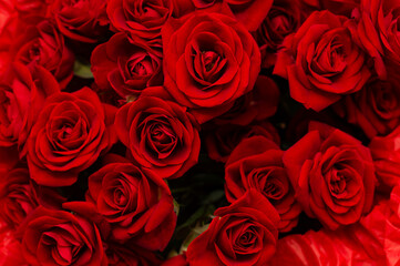Close-up of many red roses on a blurred black background. Top view. The concept of love. Bouquet of flowers
