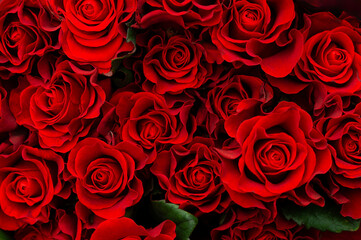 Naklejka premium Close-up of bright red roses on a black background. The concept of love. Texture of flowers. Top view