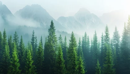 Foto auf Acrylglas Vintage retro style misty mountain landscape with fir forest in dark green and light gray fog © Ilja