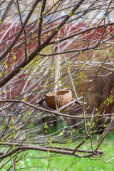 Bird feeder made from coconut shell hanging on tree branches on jute ropes in the garden with sun flower seeds for birds