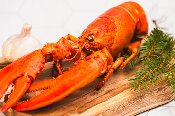 Lobster, cooked delicious lobster served on a wooden board, delicious luxury lobster,close-up of a lobster 