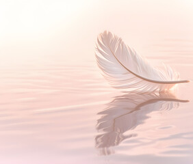 Serene Feather on Gentle Water Reflection at Dawn