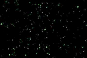 Green Soap bubbles on the dark background