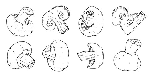 A set of sketches, doodles of champignon mushrooms and pieces of vegetables. Vector graphics.