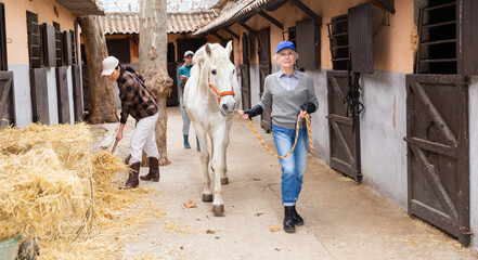 Positive elderly woman horse breeder working in farm, leading white thoroughbred racehorse with...