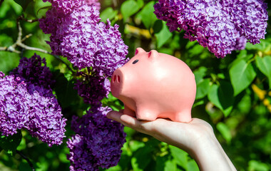 Girl holding piggy Bank against the background of blossoming pink lilac
