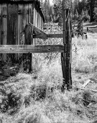 Foresta, Yosemite barns through a 4x5 monochrome camera.