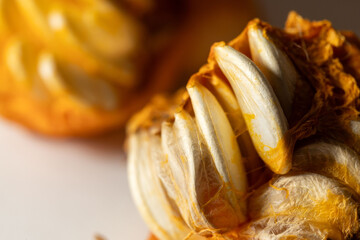 Pumpkin seed, interior