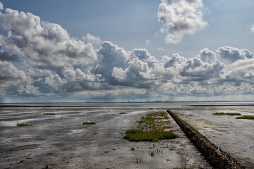 Wattwanderung zu Hallig