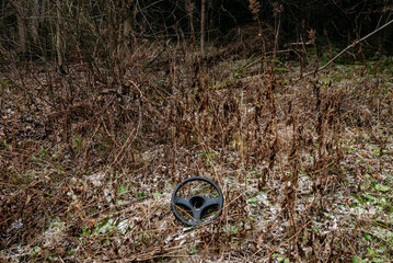 Late autumn in the northern forest. The steering wheel of the car lying in the middle of the grass.