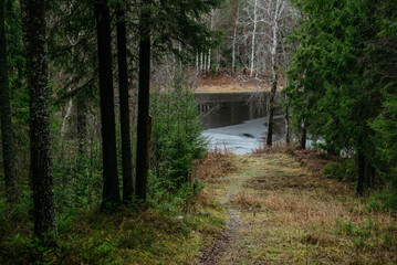 Late autumn on the forest lake.