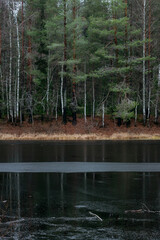 Late autumn on the forest lake.