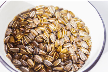Germinated seeds of the sunflower in moist water. Healthy food ingredients.