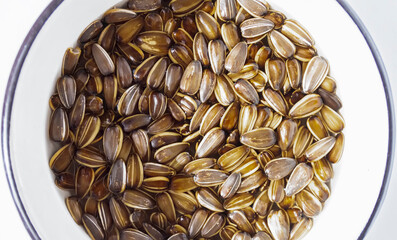 Germinated seeds of the sunflower in moist water. Healthy food ingredients.