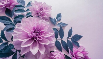 beautiful abstract color blue and purple flowers on white background and pink graphic pink flower frame and purple leaves texture purple background colorful graphics banner pink background