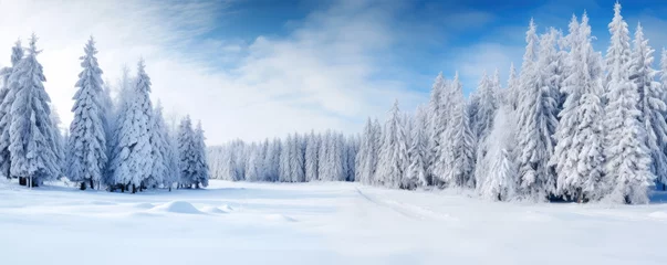 Crédence de cuisine en verre imprimé Europe du nord Winter landscape of trees covered with snow. Beautiful winter forest.