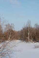 Obraz na płótnie Canvas Winter expanses on a frosty sunny day.