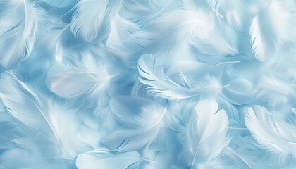 Beautiful  blue feathers on white background and soft white feather texture on blue pattern and blue background, feather background, blue banners