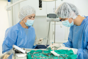 In veterinary clinic, mature female doctor provides surgical operation with male assistant help,...
