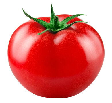 Tomato transparent background. One tomato isolated on transparent or white background. Red tomato side view. Full depth of field.