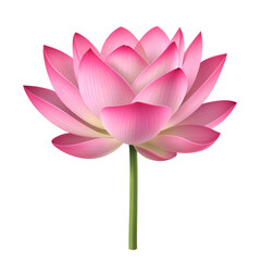 Pink lotus flower with a stem, with light and dark pink gradients