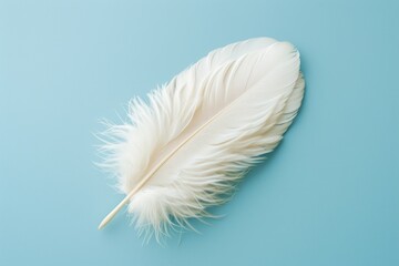 Ethereal white feather on light blue backdrop, isolated fluffy plume for creative design concepts.