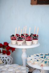 Dessert table for a party. Cake, cupcakes, sweetness and flowers. Maritim theme candy bar.