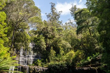 tourist hiking in a national park, taking a photo and looking at a waterfall in a forest in tasmania australia in summer