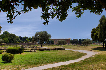 Ancient Greek ruins of Paestum famous UNESCO site in the province of Salerno, Campania, Italy