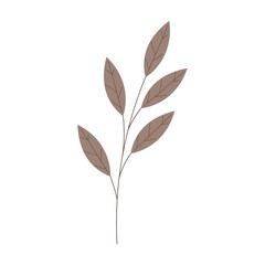 Leaves branch Flat design Vector illustration