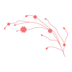 Isolated blossom flower icon Vector illustration