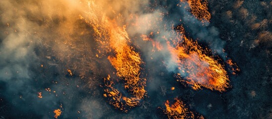 Aerial view of burning and scorched fields during a forest fire.
