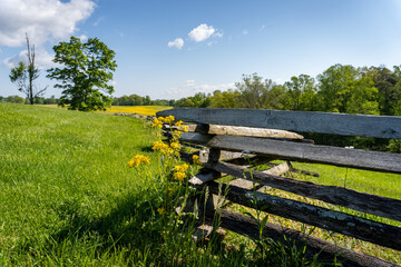 Mill Springs Battlefield National Monument in Kentucky. Canola flower and field with fence at...