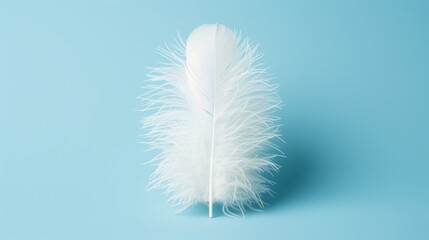 Ethereal white plume floating in mid air on serene light blue background, isolated and levitating