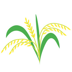 paddy vector icon