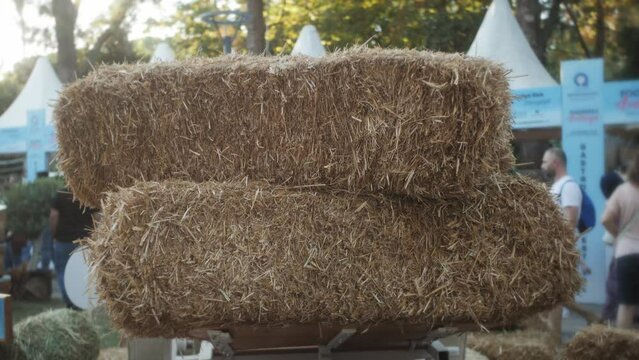 straw, dry straw texture background, vintage style at farm. 