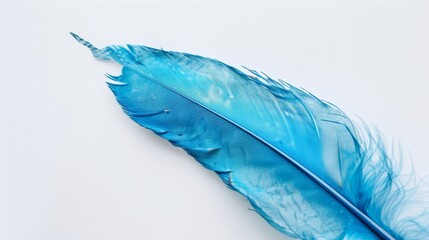 a light blue quill feather with white background - watercolor