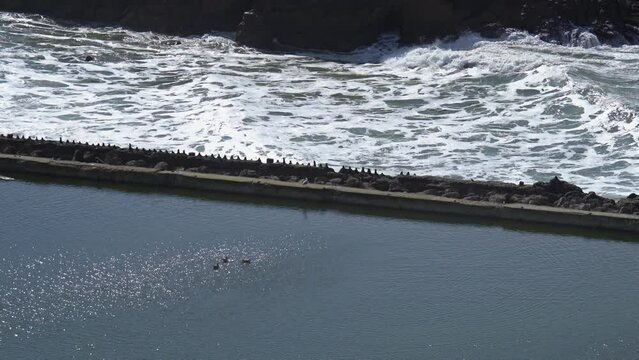Lands End Sutro Bath Pool Next to Ocean in San Francisco, California